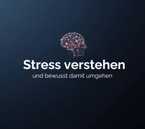 Stress verstehen lernen und damit umgehen