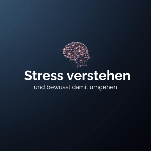 Stress – warum wir gerade vor Weihnachten durchdrehen (und was du dagegen tun kannst)