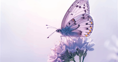 Workbook Schmetterlingeffekt - kleine Handlung grosse Wirkung