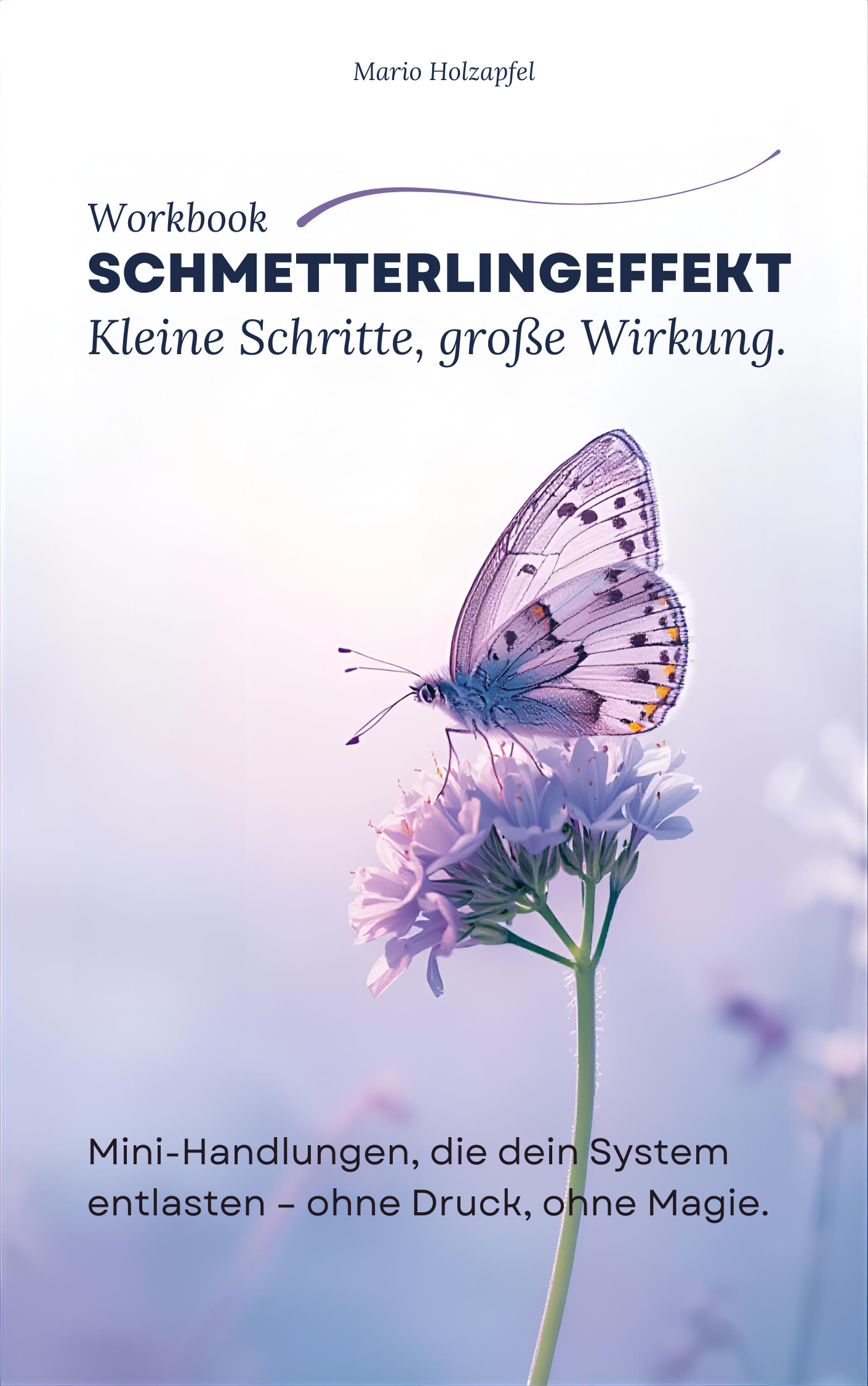 Workbook Schmetterlingeffekt bestellen